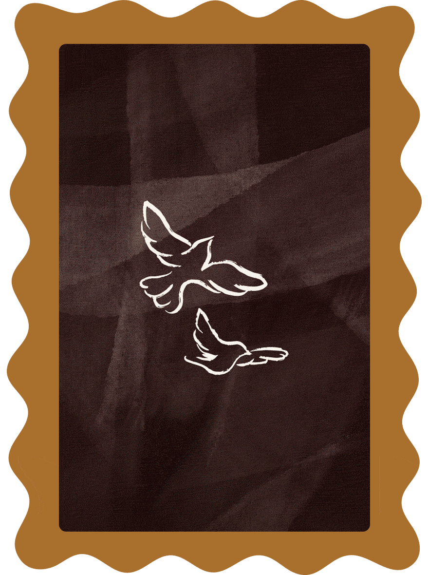 Gif de 5 mises en situation des dernières identités visuelles du studio